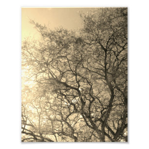 Agrandissement de photo