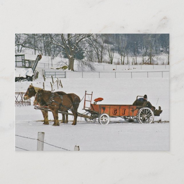 Agricole D'Hiver Amish Sur Carte Postale (Devant)