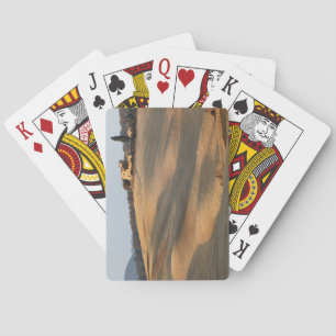 Agricultural field at sunset, Val d'Orcia, Tusca Playing Cards