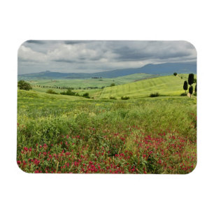 Agricultural field, Tuscany region of Italy. Magnet