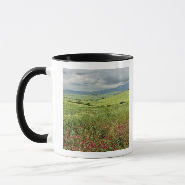 Agricultural field, Tuscany region of Italy. Mug (Left)
