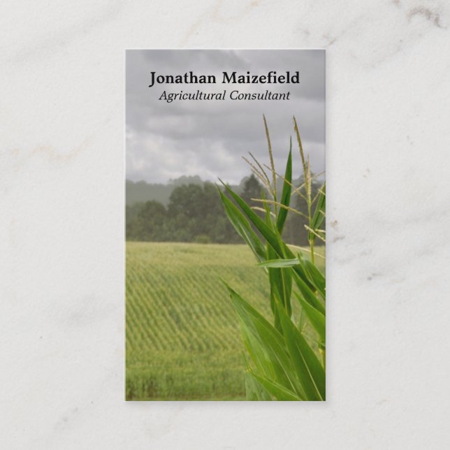 Agricultural maize landscape photo business card (Front)