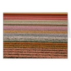 Agriculture d'ampoule