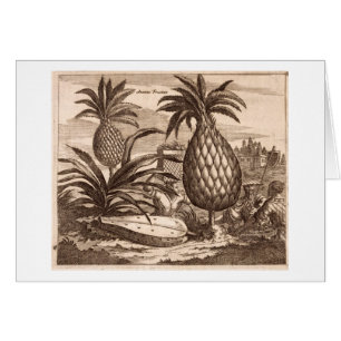 Agriculture de grands ananas, illustration d'un