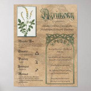 Agrimony Herbal Book of Shadows Pagan Wiccan Poster
