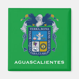 Aguascalientes Coat of Arms Magnet