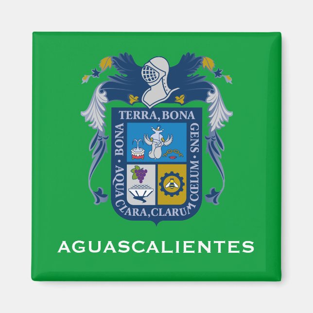 Aguascalientes Coat of Arms Magnet (Front)