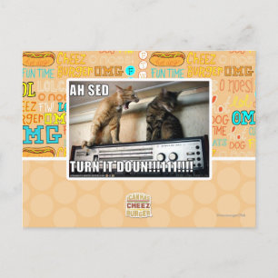 Ah Sed Turn it Down!! Postcard