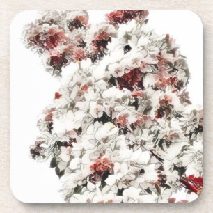 Ah, Spring Coaster
