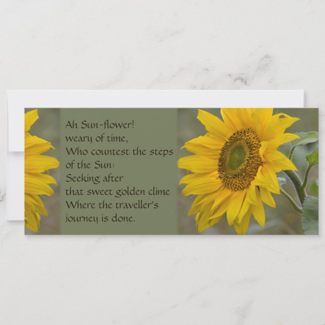 Ah Sun-flower CC0274 Poetry Invitation (Front)