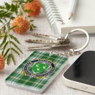 Ahearne Irish Shield Personalized Rectangle Keychain