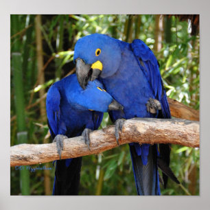 Ahh Right There Poster