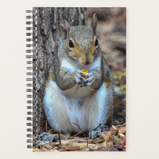 Ahhh... It's Dinnertime Planner