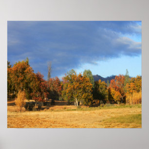 Ahhhh the colors of Fall.... Poster