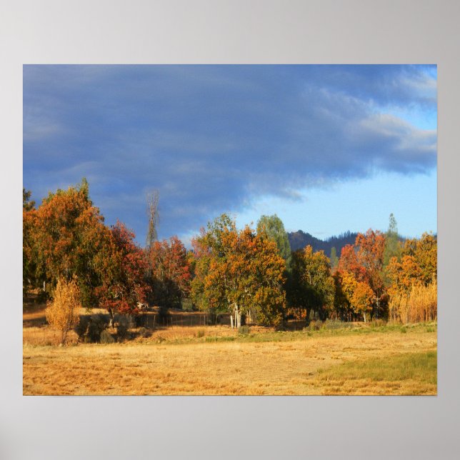 Ahhhh the colors of Fall.... Poster (Front)
