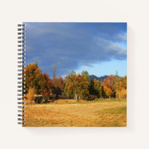 Ahhhh the colours of Fall... Notebook