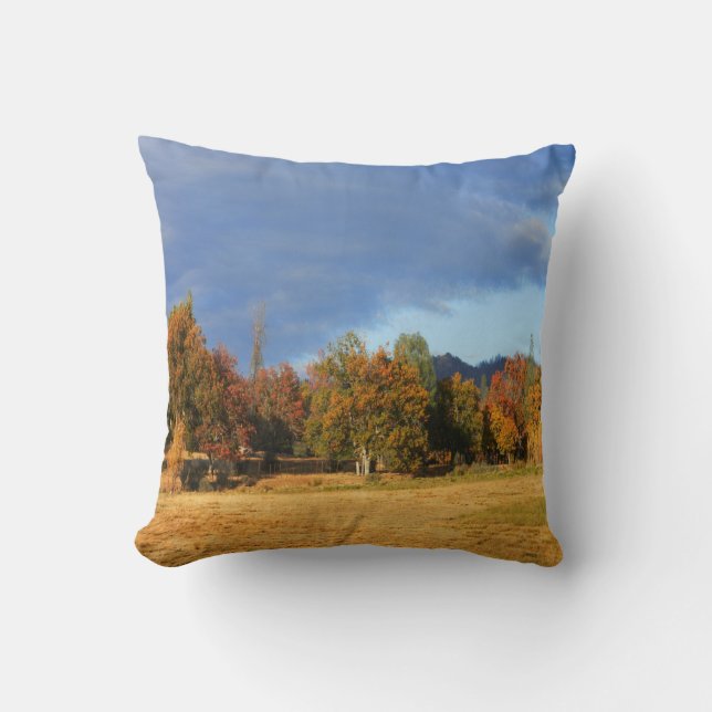 Ahhhh the colours of Fall... Throw Pillow (Front)
