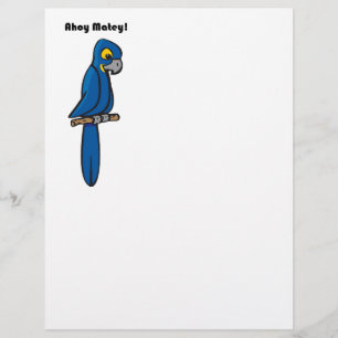 Ahoy Matey Pirate Parrot Cartoon, Funny Macaw Bird
