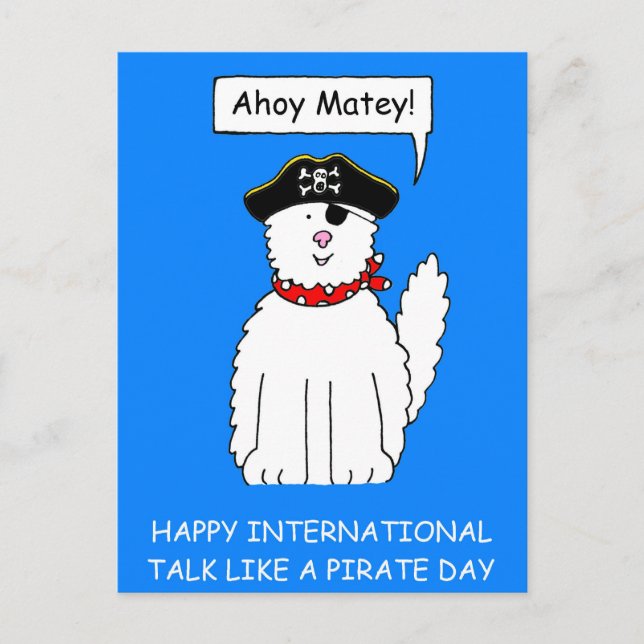 Ahoy Matey, Talk like a Pirate Day, Cartoon Cat Postcard (Front)