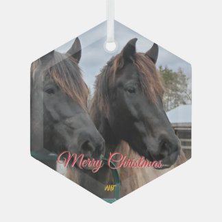 AHT Horse Rescue Glass Ornament