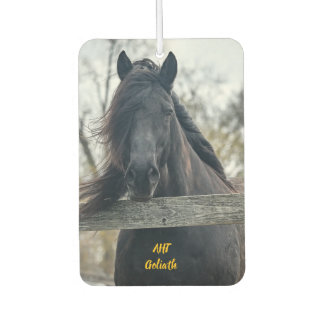 AHT Horse Rescue Goliath Air Freshener