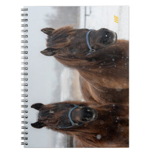 AHT Horse Rescue Notebook