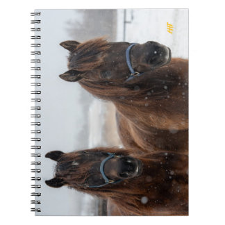 AHT Horse Rescue Notebook