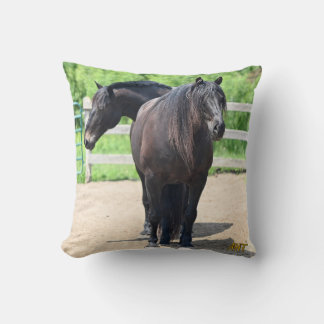 AHT Throw Pillow