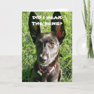 AI-JE "ENTENDU" VOUS ÊTES "18ème" CARTE D'ANNIVERS