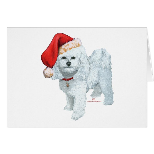 Aide de Santas (Devant horizontal)