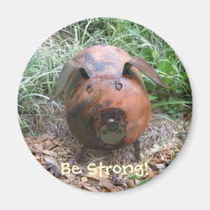 Aide diététique à aimants à piggy