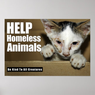 Aide Poster sur les animaux sans abri