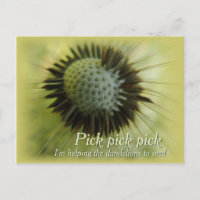 Aider les pissenlits CC0489 Carte postale