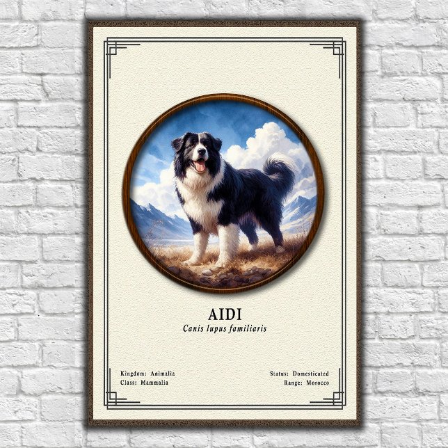 Aidi Zoology Series Poster (Creator Uploaded)