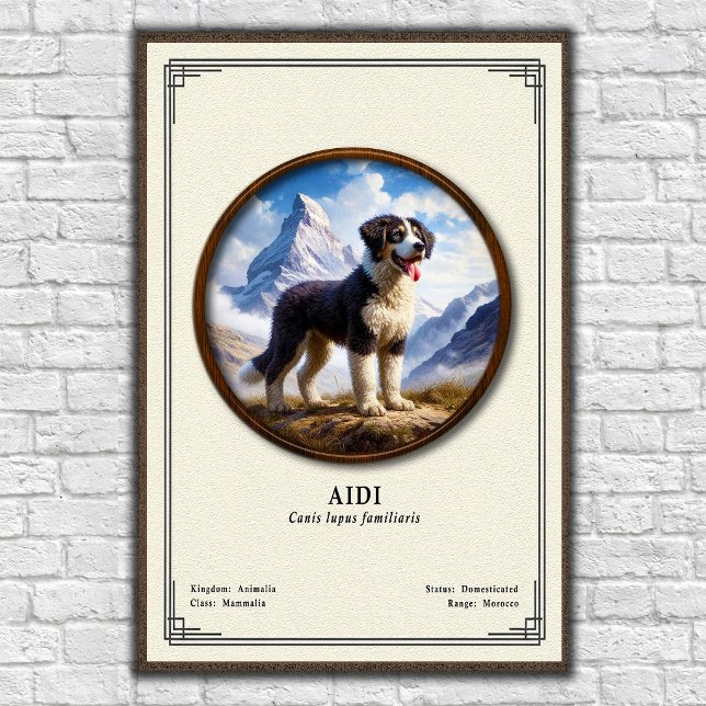 Aidi Zoology Series Poster (Creator Uploaded)