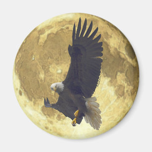 Aigle à capuchon et aimant à PLEINE LUNE sauvage