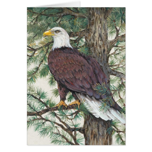 Aigle à tête blanche (Devant)
