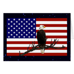 Aigle à tête blanche toujours en vigueur