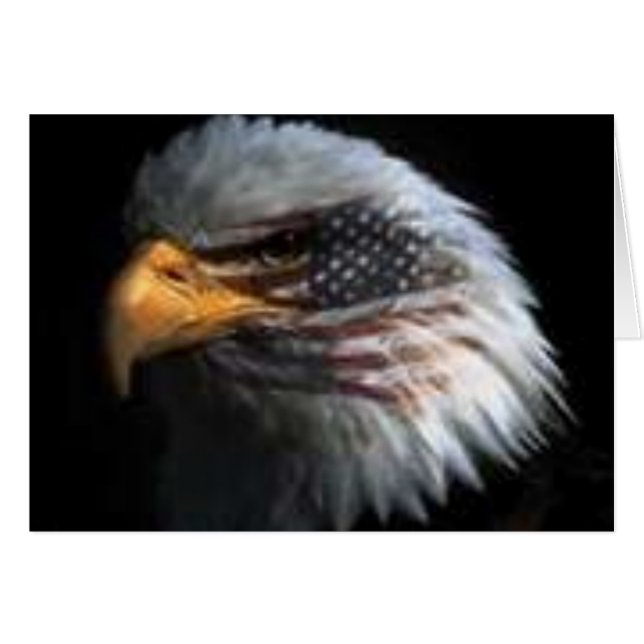 aigle américain (Devant horizontal)