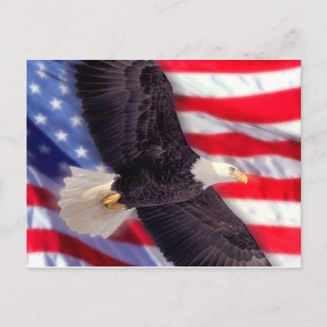 Aigle américain avec carte postale du drapeau amér (Devant)