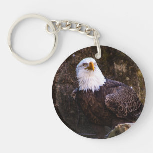Aigle de Bald