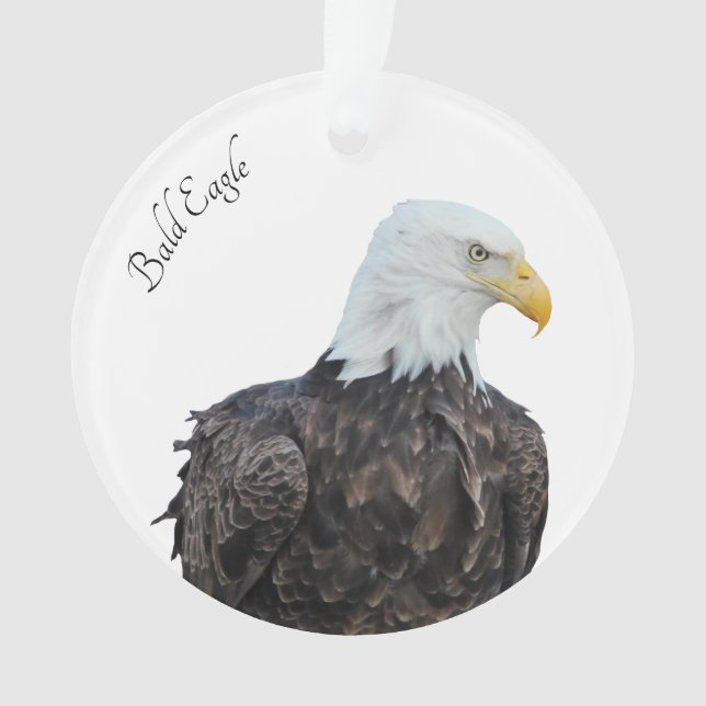 Aigle de Bald (devant)