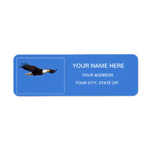 Aigle de Bald en vol
