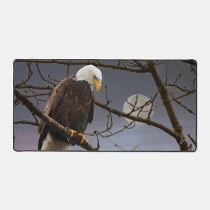 Aigle de Bald sous Pleine lune au coucher du solei