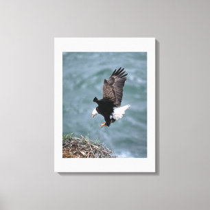 Aigle en toile