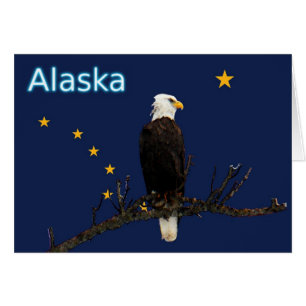 Aigle Et Drapeau De L'Alaska