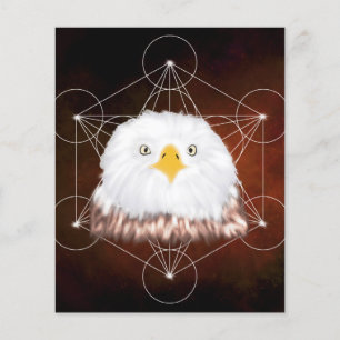 aigle metatron flyer