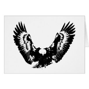 Aigle noir et blanc