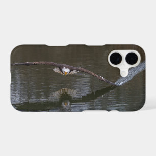 Aigle royal en vol