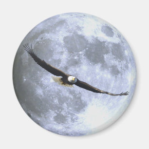 Aigle volant et aimant PLEINE LUNE de la faune